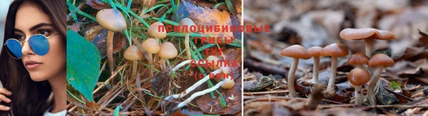 прущий лед Осташков