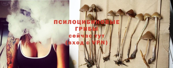 mix Осинники