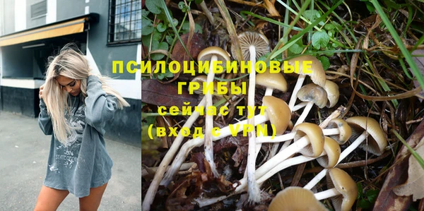 ПСИЛОЦИБИНОВЫЕ ГРИБЫ Абдулино