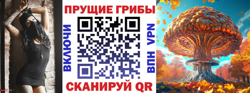 Галлюциногенные грибы Magic Shrooms  Туринск 